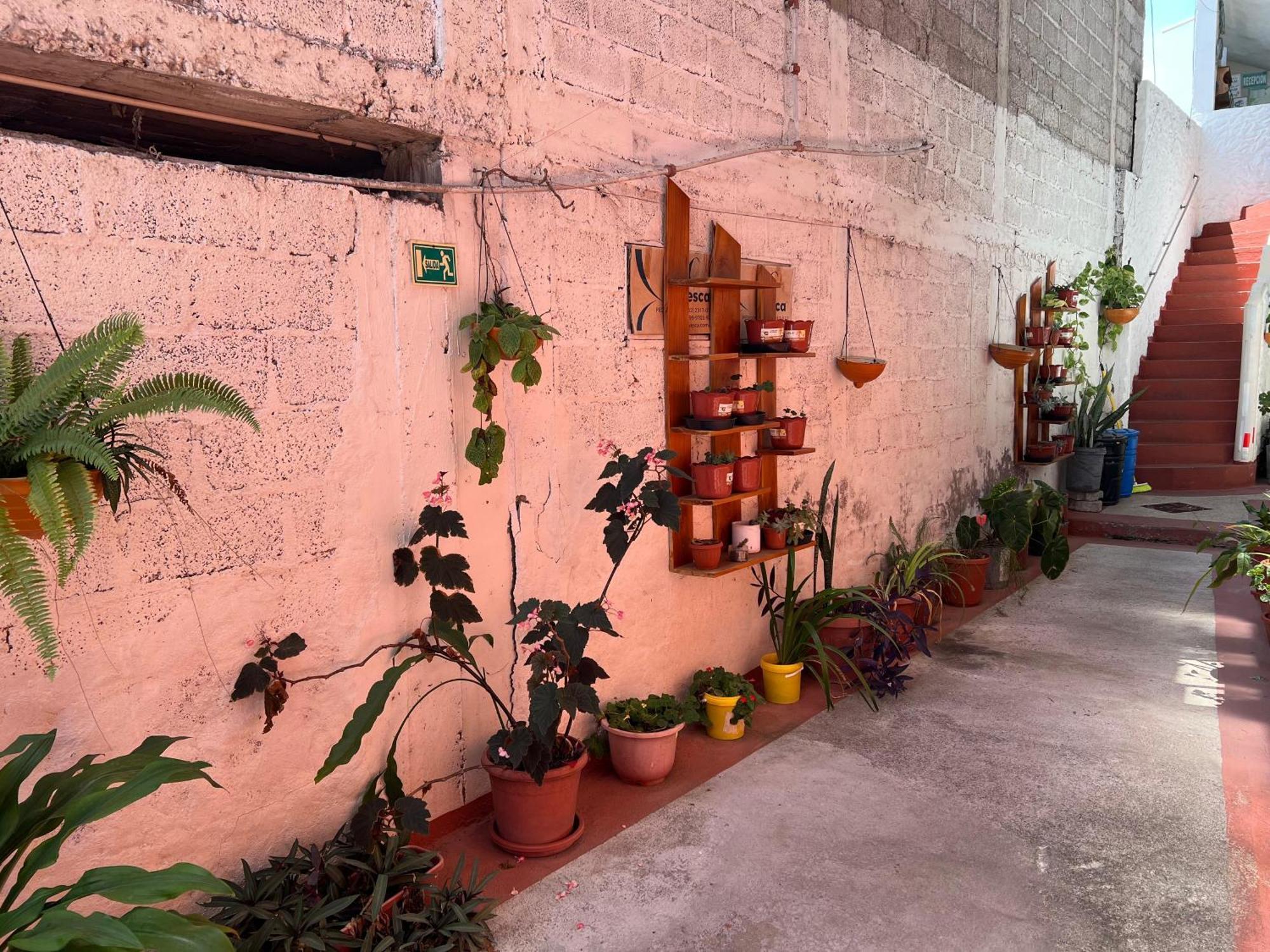 Hostal Cattleya Puerto Baquerizo Moreno Bagian luar foto