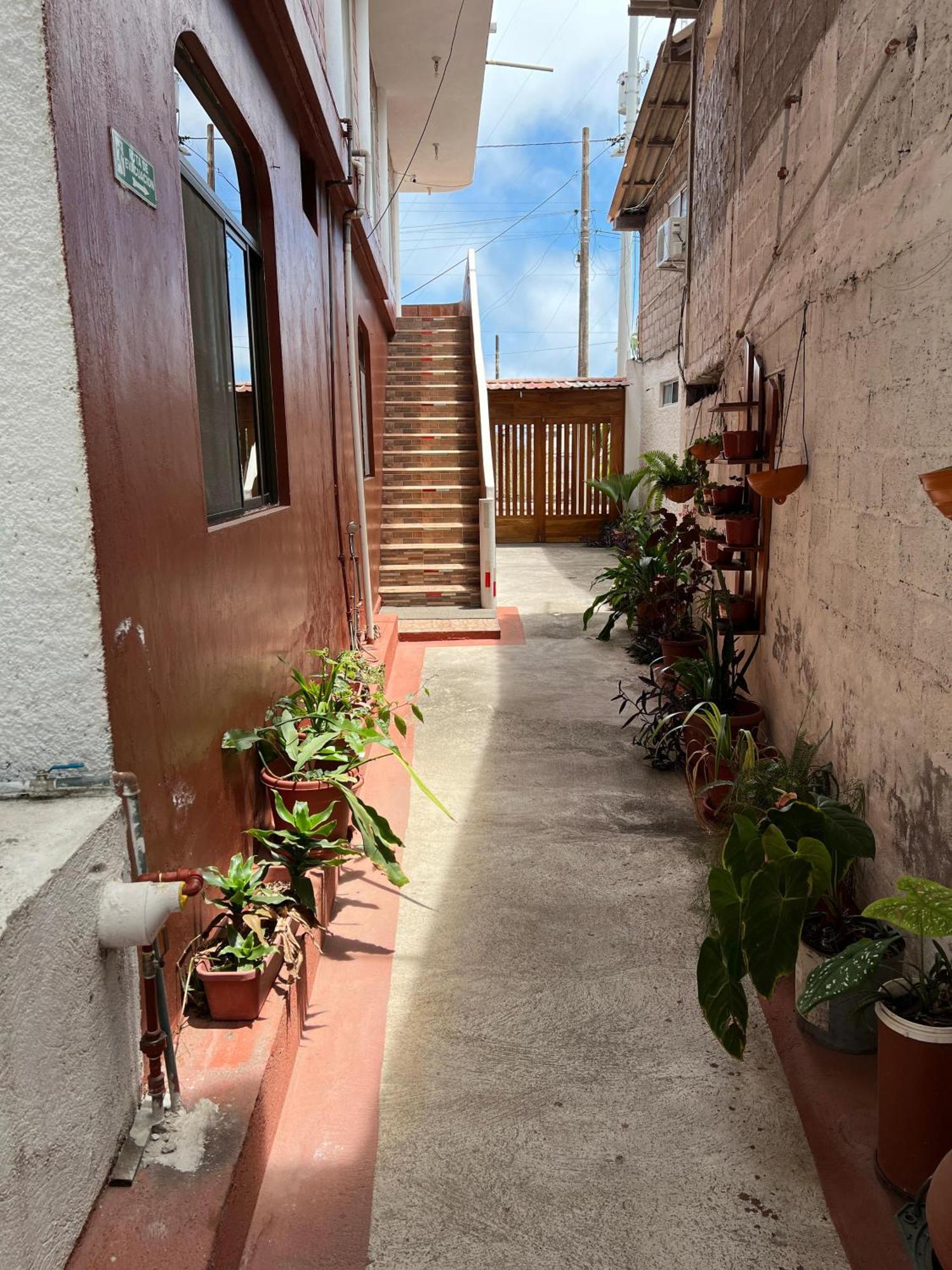Hostal Cattleya Puerto Baquerizo Moreno Bagian luar foto