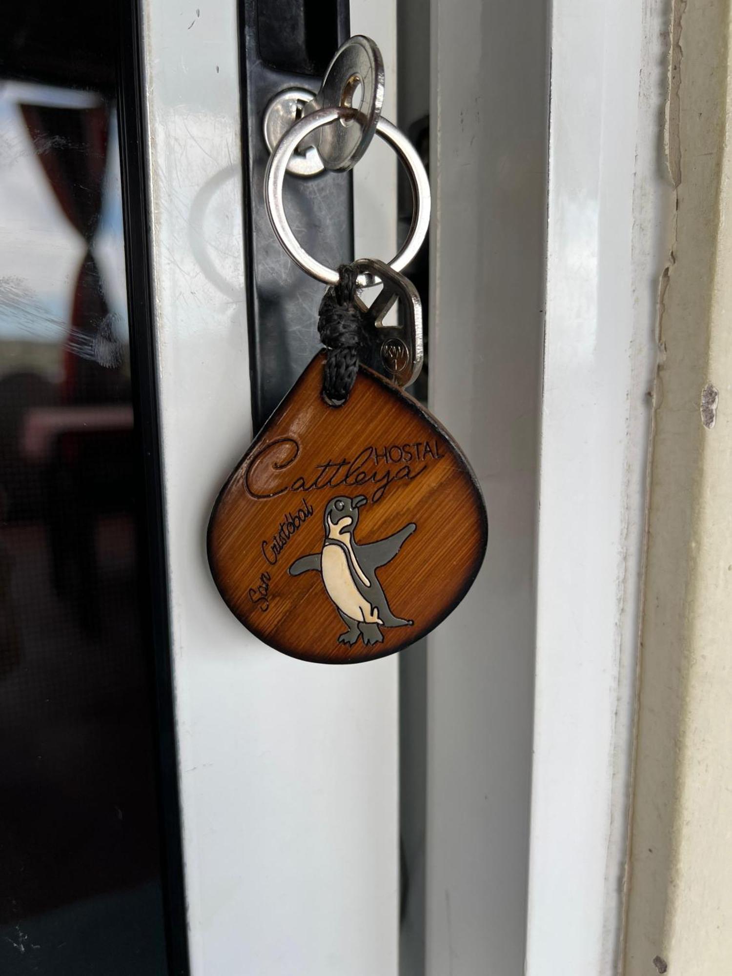 Hostal Cattleya Puerto Baquerizo Moreno Ruang foto